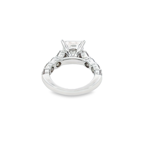 14K White Gold Princess Cut Diamond Engagement Ring (3.54 ct)